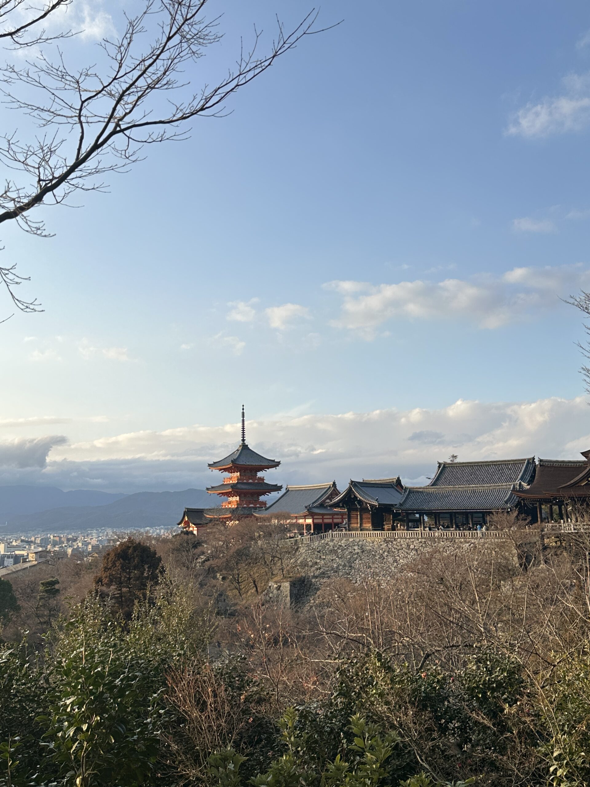 대가족 일본여행, 교토·오사카 3박 4일 프롤로그